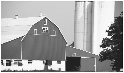 Agriculture is a key element of Canada's economy, especially the cultivation of grains such as corn and wheat for export.