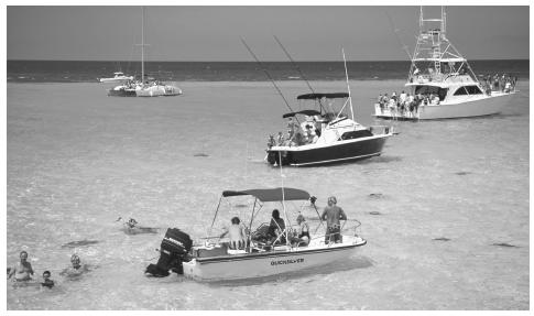 Stingray City is just one of the attractions making the Cayman Islands a popular tourist destination.