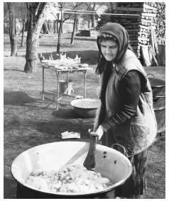 A Croatian woman makes sausages. Pork is a common food, especially in northern Croatia.