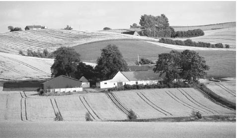 Two-thirds of Denmark's land and nearly 25 percent of its population are devoted to agriculture.