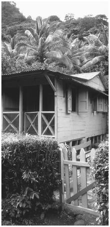 A foundation on stilts, wood construction, and a metal roof typify rural homes.