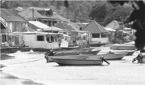 Houses and boats along the shore in the fishing village of Bourg, Terre-de-Haut, Iles des Saintes, Guadeloupe. Agriculture and fishing combined employ less than 8 percent of Guadeloupe's workforce.