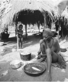 Women prepare fish of Buboque Island. Fish and shellfish are important in both Guinean diet and exports.