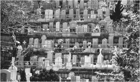 Visitors to a terraced cemetery in Hong Kong place flowers on the graves of their relatives during the Qing Mong festival, which promotes ancestral worship.