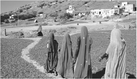 Women walk on a trail through drying chilies in the Bundi District of Rajasthan.