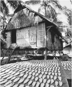 Fish drying. Both freshwater and ocean fishing are important to village economies.