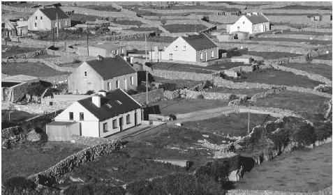 Walls separate individual fields on Inisheer, one of Ireland's Aran Islands.