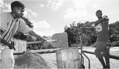 Two men shoveling coffee beans into a barrel. Agriculture is now only one of many fields open to black Jamaicans, once enslaved to work the plantations.