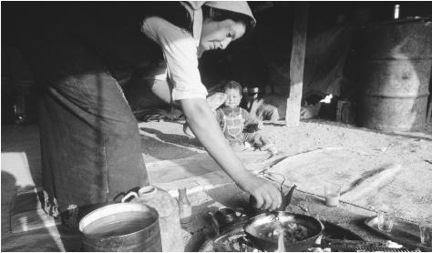 Bedouin woman preparing a meal. Free-wandering Bedouins have lived in the traditional way for thousands of years.