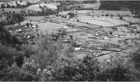 Farms in the Great Rift Valley of Kenya. In the 1990s, the government began selling state farms to private enterprises.