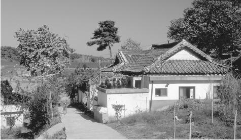 A house in Oh Ju Kon village, Kangnung, South Korea, reflects a more modern approach to South Korean rural housing.