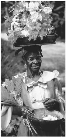 Local islanders call Mauritius Madiana or Madinina, which means "Island of Flowers."