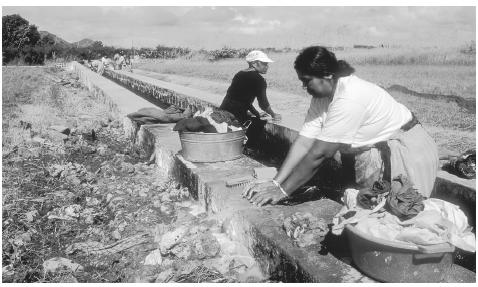 Women stand in a narrow canal to wash and rinse clothes on the island of Mauritius. About 40 percent of Mauritian women work outside the home.