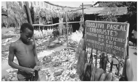 Hair hangs from poles, and skulls lay on the ground in a fetish market. Traditional vodou cults are popular.