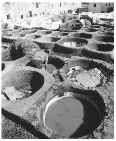 Dye vats in Fez, Morocco.