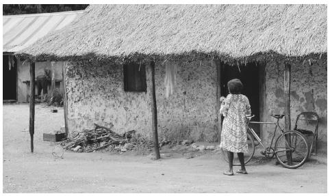 Most New Caledonian women prepare meals, care for children, and carry wood.