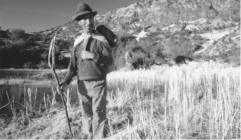 A farm worker stands in a harvested field holding a threshing fork. About one-third of Peru's workforce traditionally consisted of farmers.