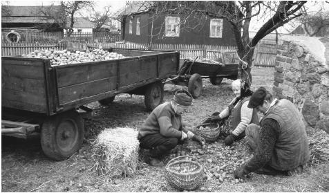 Traditionally, the women's place was in the home, but a significant number of women run their own farms, particularly after children move out or if the husband dies or becomes disabled.