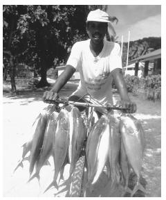 Fish hang from the handlebars of a fisherman's bicycle. Seychelles is located in the Indian Ocean.