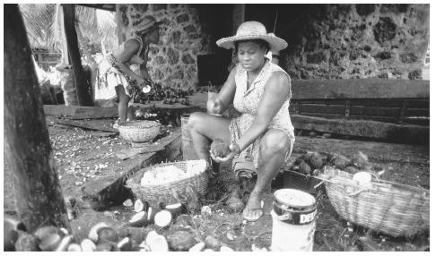 Women process copra, or coconuts, in the Seychelles. The plantation sector of the economy is expected to decline.