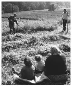 Men cutting grass in Ladomirova. Much agricultural land is owned and operated by cooperatives.