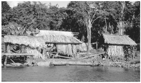 Thatched huts along the shore of a river. This type of dwelling is home to the indigenous peoples of Venezuela.