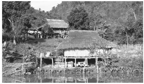 Traditional thatched-roof homes on piles in a village outside Sapa. These homes are more common among poorer, rural families.