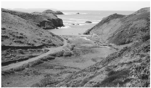 The Pembrokeshire landscape in Cribyn Walk, Solva, Dyfed. Wales is surrounded by water on three sides.