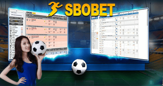 Fokus melihat bermain afabola77 online terpercaya