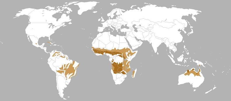 mapa de las sabanas