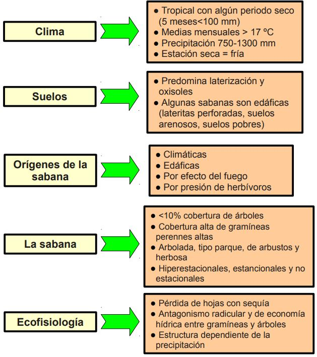 características de la sabana