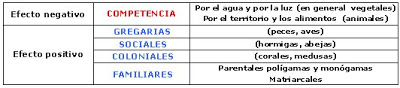 interespecífica intraespecífica relaciones ecosistema biología competencia sociales familiares gregarias