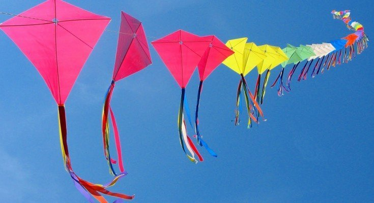 Facts About Kites