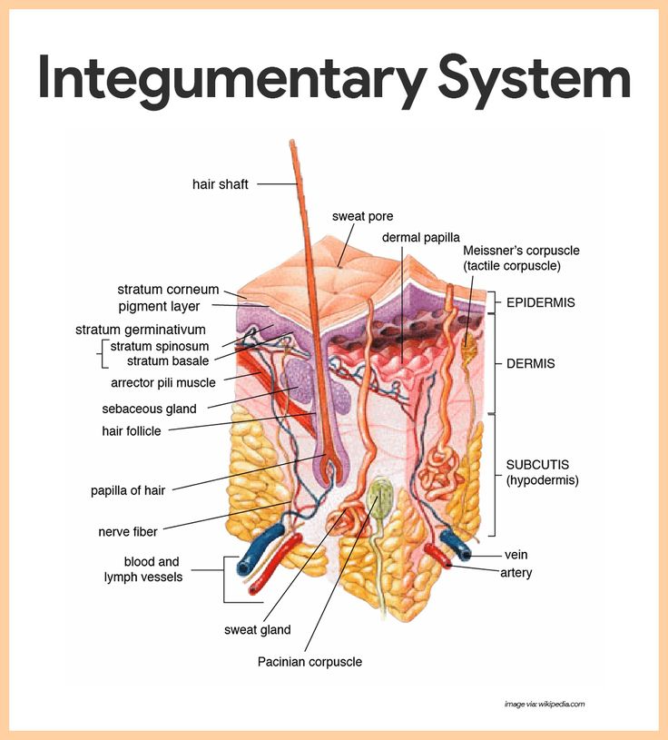 See the source image