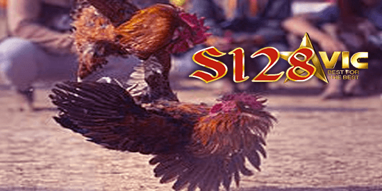 s128 aduan ayam