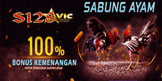 judi sabung ayam