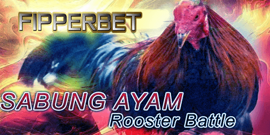 sabung ayam bangkok