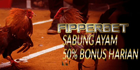 sabung ayam aduan