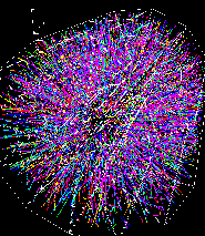 Détecteur Simulation