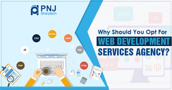 Why should you opt for Web development services agency