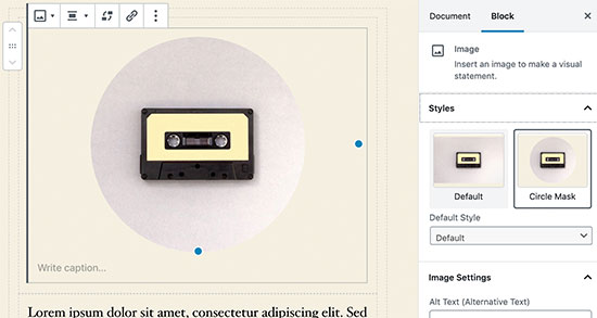 Image block settings in WordPress 5.3