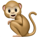 Monkey on Apple iOS 13.3