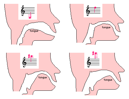 sax0501.gif