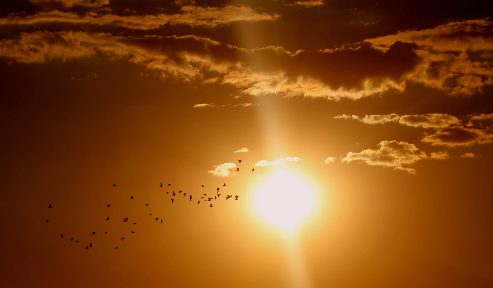 Die Sonnenstrahlen einer Infrarotkabine