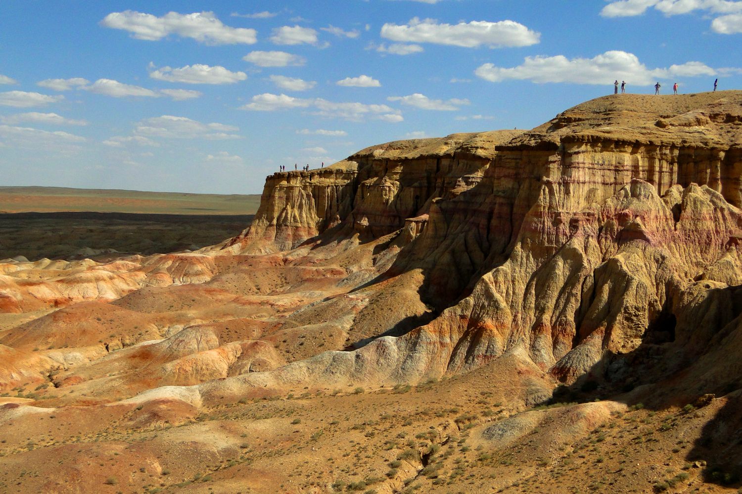 best tour companies mongolia