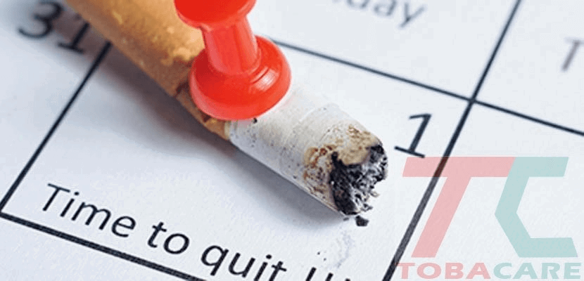 Lên timeline sẽ giúp bạn