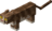 Tabby Cat.png