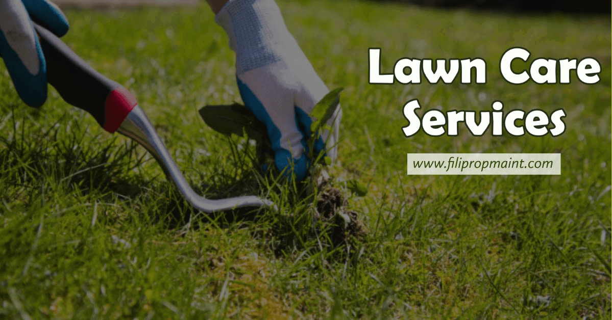 Lawn Care Services