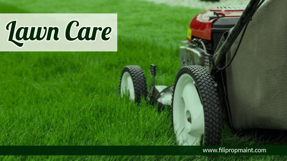 Lawn Care