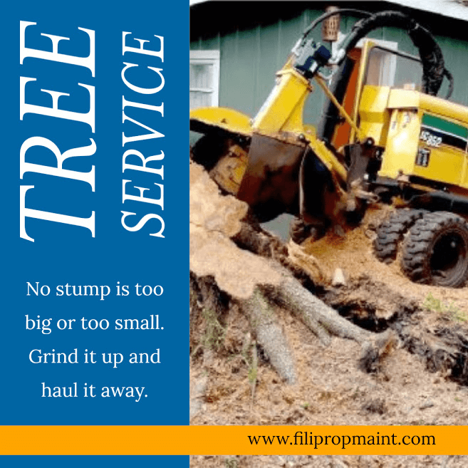 Tree Service
